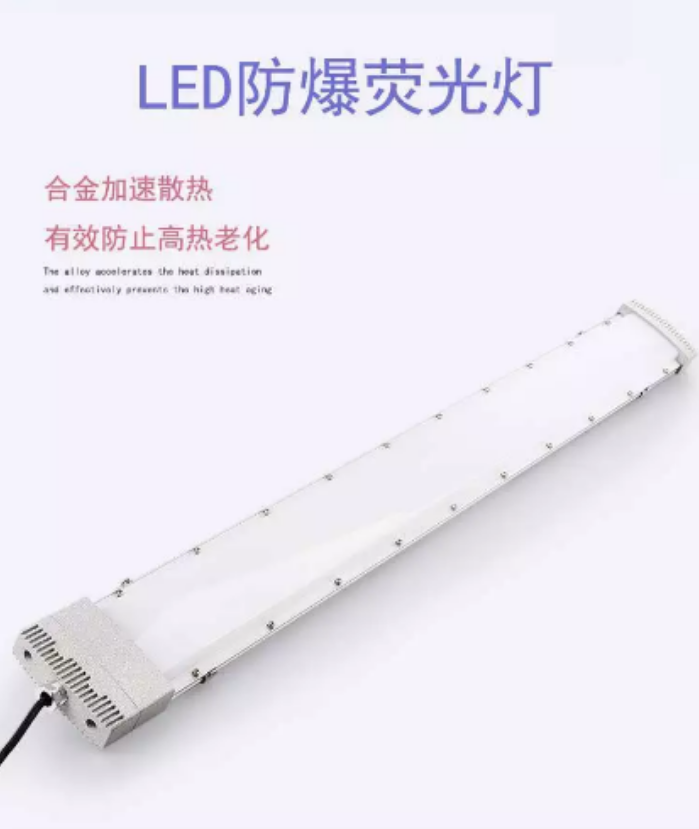 BLY8800A/B/C 防爆節能熒光燈